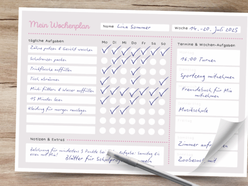 Wochenplan Haushalt für Kinder: spielerische Aufgaben-Checkliste & tägliche Routinen | PDF in 3 Farben, 2 Varianten